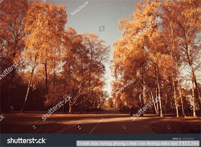 Tranh dán tường phong cảnh con đường mùa thu T321-266