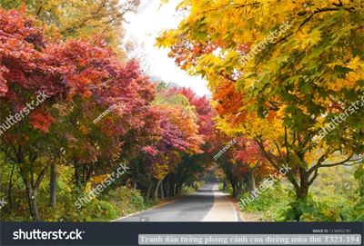 Tranh dán tường phong cảnh con đường mùa thu T321-194