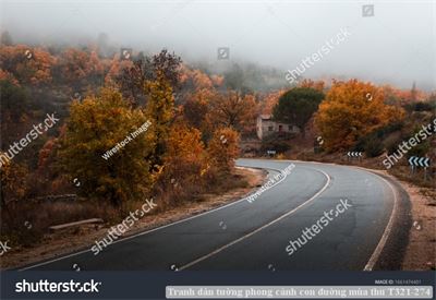 Tranh dán tường phong cảnh con đường mùa thu T321-274