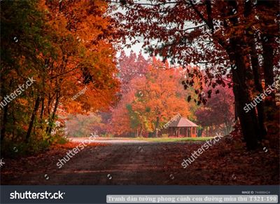 Tranh dán tường phong cảnh con đường mùa thu T321-190