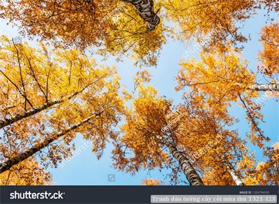 Tranh dán tường phong cảnh hồ thác, cây cối T321-479