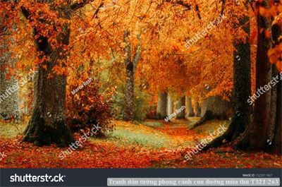 Tranh dán tường phong cảnh con đường mùa thu T321-263