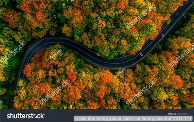 Tranh dán tường phong cảnh con đường mùa thu T321-174