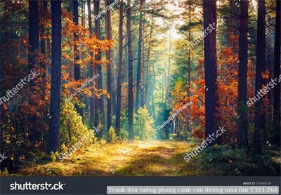 Tranh dán tường phong cảnh con đường mùa thu T321-206