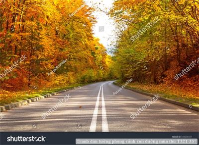 Tranh dán tường phong cảnh con đường mùa thu T321-337