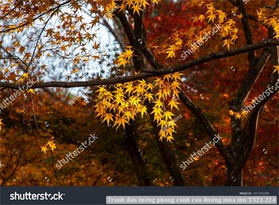 Tranh dán tường phong cảnh con đường mùa thu T321-224