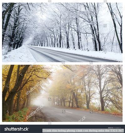 Tranh dán tường phong cảnh con đường mùa thu T321-367