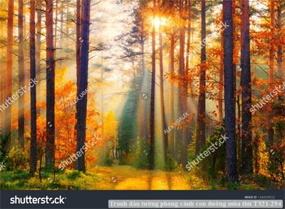 Tranh dán tường phong cảnh con đường mùa thu T321-294