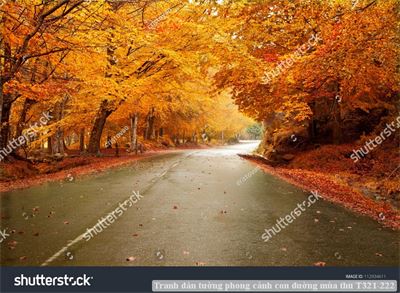 Tranh dán tường phong cảnh con đường mùa thu T321-222