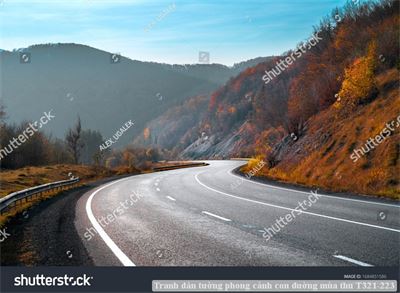 Tranh dán tường phong cảnh con đường mùa thu T321-223