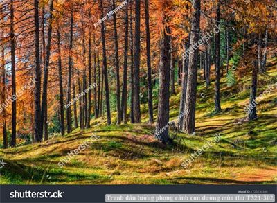 Tranh dán tường phong cảnh con đường mùa thu T321-302