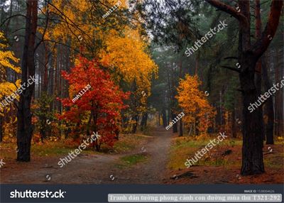 Tranh dán tường phong cảnh con đường mùa thu T321-292