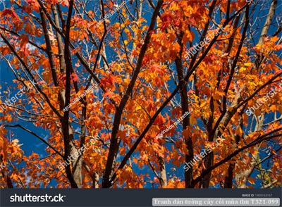 Tranh dán tường phong cảnh hồ thác, cây cối T321-498