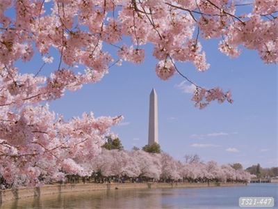 Tranh dán tường phong cảnh địa danh nổi tiếng T321-447