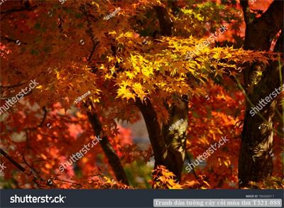 Tranh dán tường cây cối mùa thu T321-088