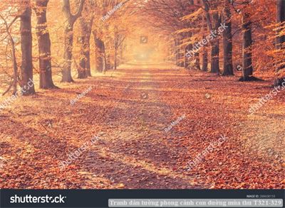 Tranh dán tường phong cảnh con đường mùa thu T321-329