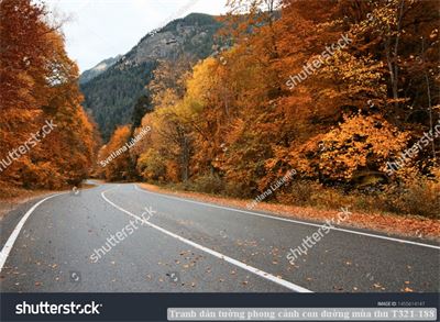 Tranh dán tường phong cảnh con đường mùa thu T321-188