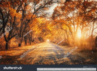 Tranh dán tường phong cảnh con đường mùa thu T321-213