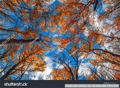 Tranh dán tường phong cảnh hồ thác, cây cối T321-486