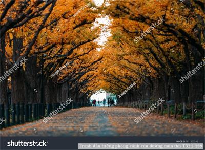 Tranh dán tường phong cảnh con đường mùa thu T321-189