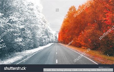 Tranh dán tường phong cảnh con đường mùa thu T321-234