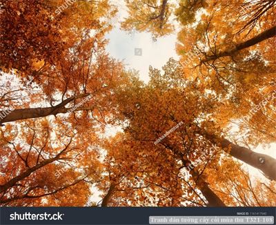 Tranh dán tường cây cối mùa thu T321-108