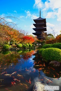 Tranh dán tường phong cảnh Nhật bản  T321-441