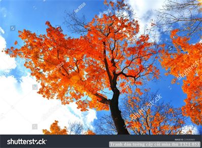 Tranh dán tường cây cối mùa thu T321-053