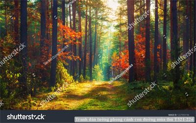 Tranh dán tường phong cảnh con đường mùa thu T321-226