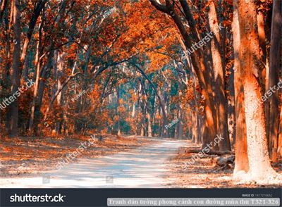 Tranh dán tường phong cảnh con đường mùa thu T321-326