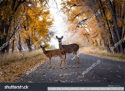 Tranh dán tường phong cảnh hồ thác, cây cối T321-483