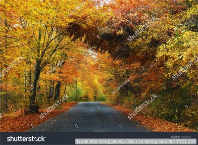 Tranh dán tường phong cảnh con đường mùa thu T321-238