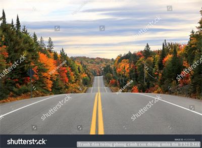 Tranh dán tường phong cảnh con đường mùa thu T321-341