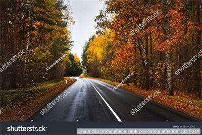 Tranh dán tường phong cảnh con đường mùa thu T321-319