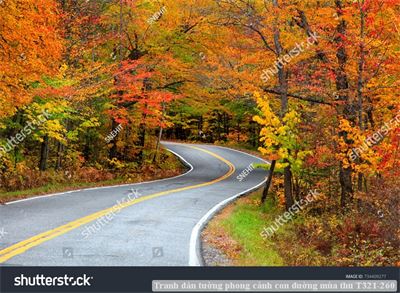 Tranh dán tường phong cảnh hồ thác, cây cối T321-528