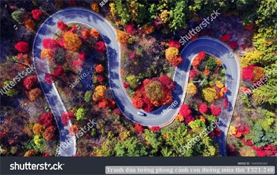 Tranh dán tường phong cảnh con đường mùa thu T321-240