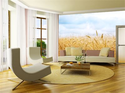 Cánh đồng mùa thu hoạch