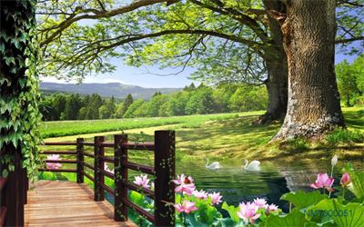 Tranh phong cảnh lối đi bên hồ