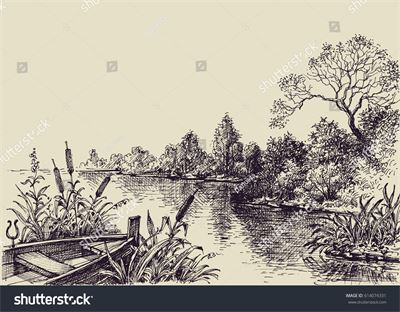 Dòng sông và cây