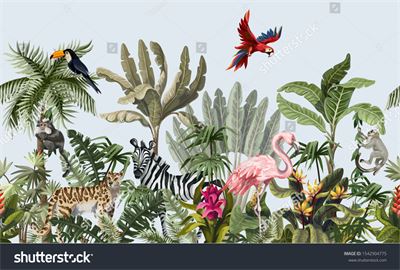 Tropical Forest - Rừng nhiệt đới