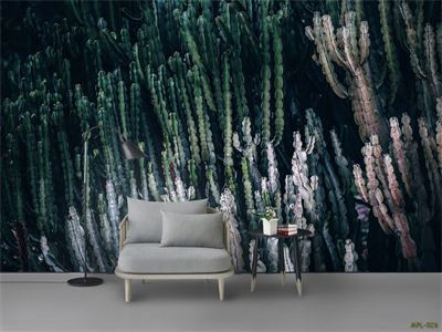 Xương rồng trong đêm  MPL-026