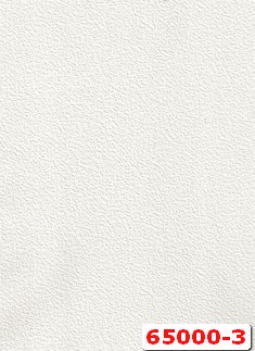 65000-3