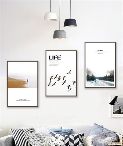 Bãi biển-Con đường  CKT3-209KG