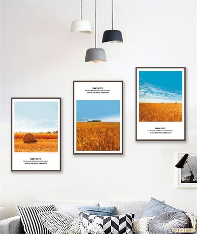 Cánh đồng lúa mì CKT3-185KG