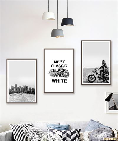 Xe và Cánh đồng CKT3-214KG