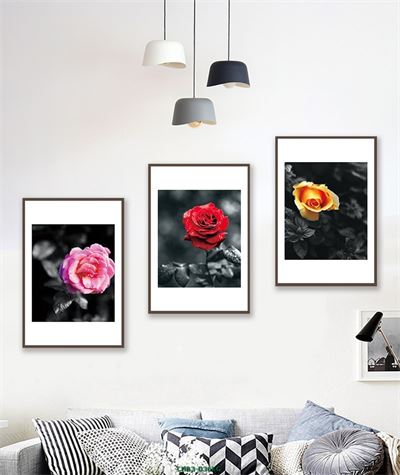 Hoa hồng nhiều màu CHB3-036KG