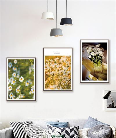 Hoa cúc trắng CHB3-143KG