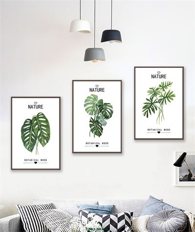 Lá xanh nhiệt đới CHB3-087KG