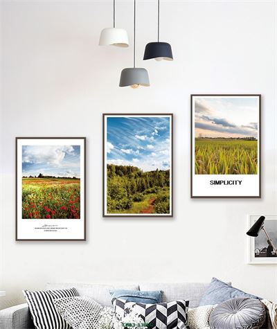 Cánh đồng hoa CHB3-138KG