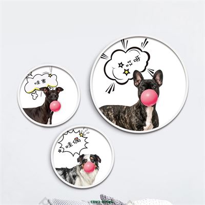 Động vật CDV3-023KG